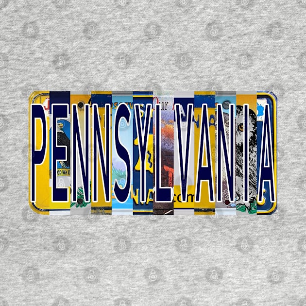 Pennsylvania License Plates by stermitkermit